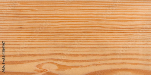 wood texture background - yellow pine