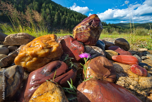 Russia.Chita region. Picturesque multicolored minerals along the rocky shores of the Menza River, which carries its waters to Lake Baikal through the Chikoy and Selenga rivers. photo