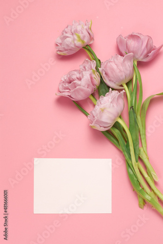 Tulips with blank greeting card on pink background. Place for text. Mock up greeting concept. © Bo.graphic