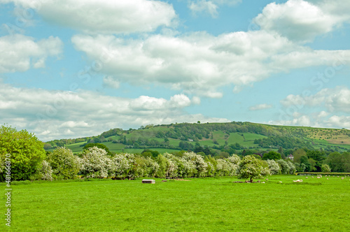 Rural scenery around Hay-on-Wye, England and Wales in the summertime.