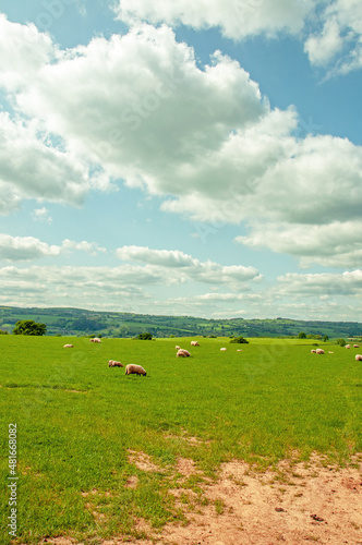 Rural scenery around Hay-on-Wye, England and Wales in the summertime.