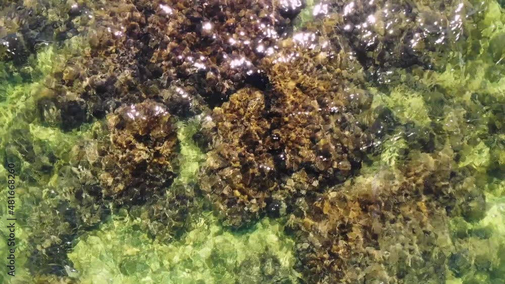 Top view of the transparent sea in shallow water. Aerial view of small waves ripples on the surface of the ocean. Sea background on a sunny day Top view of the transparent sea in shallow water. Aerial view of small waves ripples on the surface of the ocean. Sea background on a sunny day