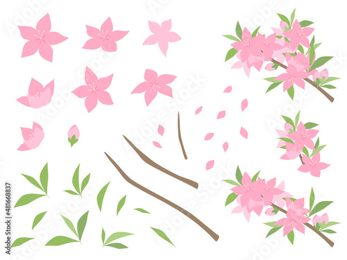 桃の花のイラスト素材セット