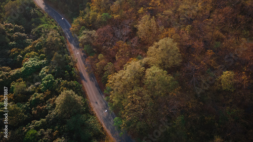 Aerial shot of a car running on a road in the midst of beautiful nature.