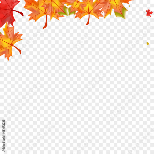 Autumnal Floral Background Transparent Vector. Leaves October Card. Colorful Forest Foliage. Beautiful Leaf Texture.