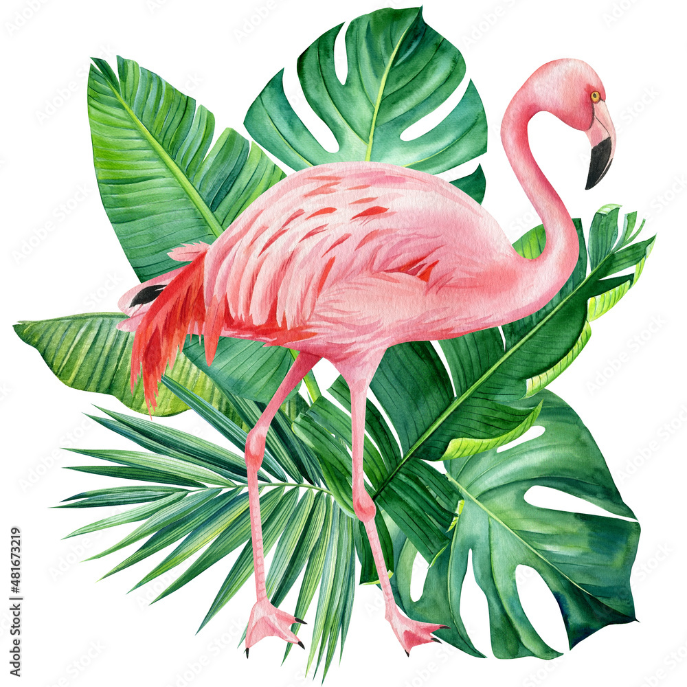 Tropical plants, Flamingo and green leaves on white background ...