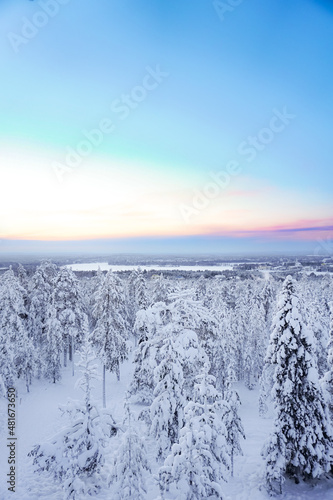 Winter landscape, panorama, banner - view of the snowy forest in Lapland 