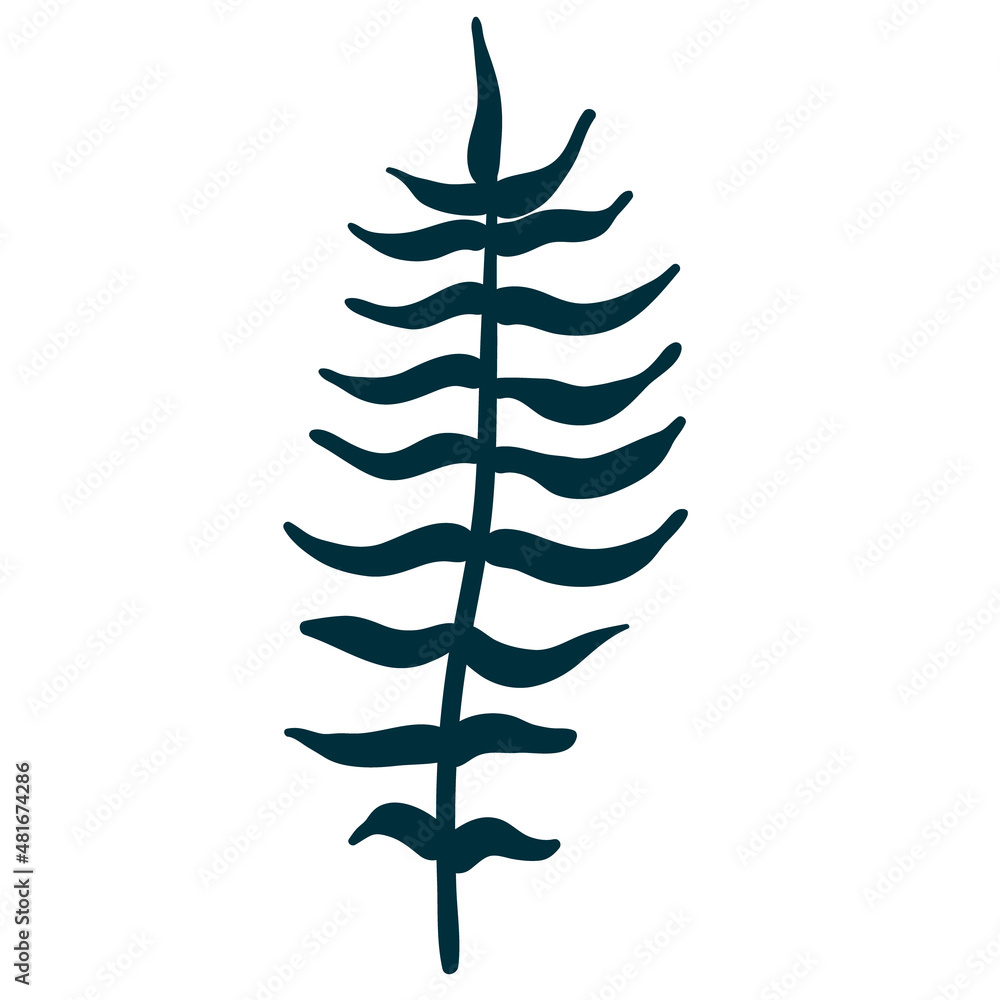 Forest plants in boho style. Ferns, horsetails, leaves, branches Forest plants in boho style. Ferns, horsetails, leaves, branches