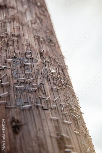 Close up of telephone pole covered with rusty staples from old notes