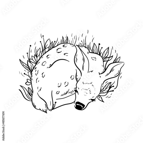 vector illustration deer line animal sleeping