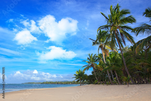 Travel background with caribbean sea and green palm.
