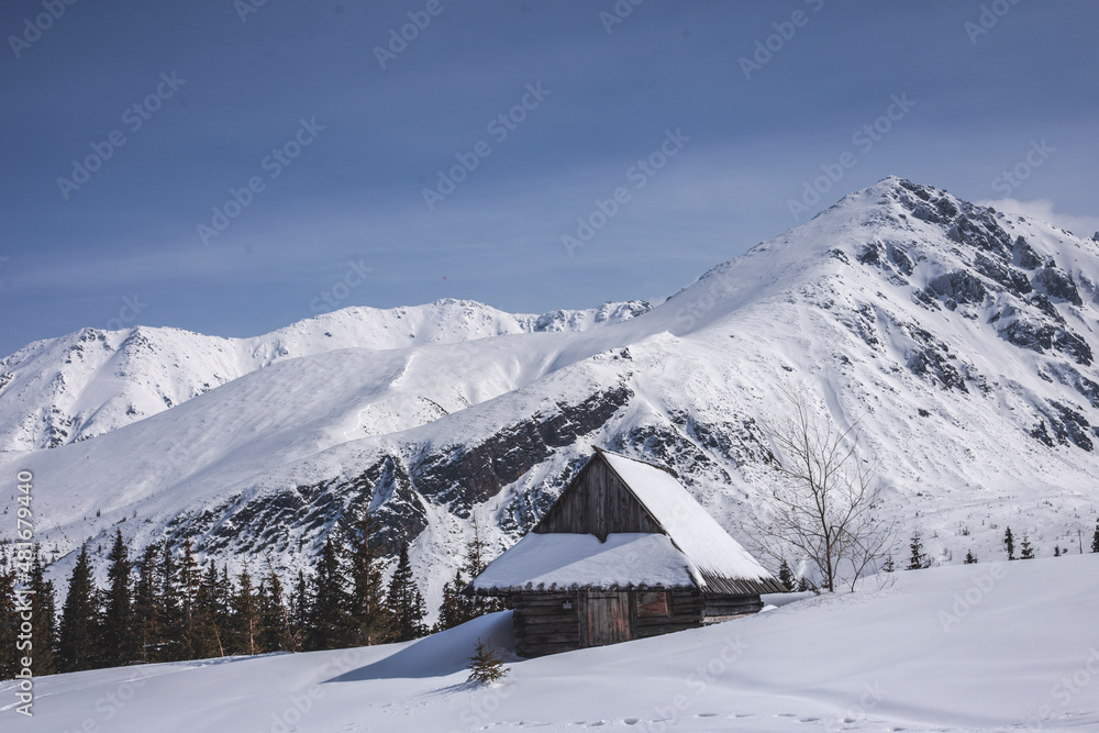 Fototapeta premium Tatra Mountains