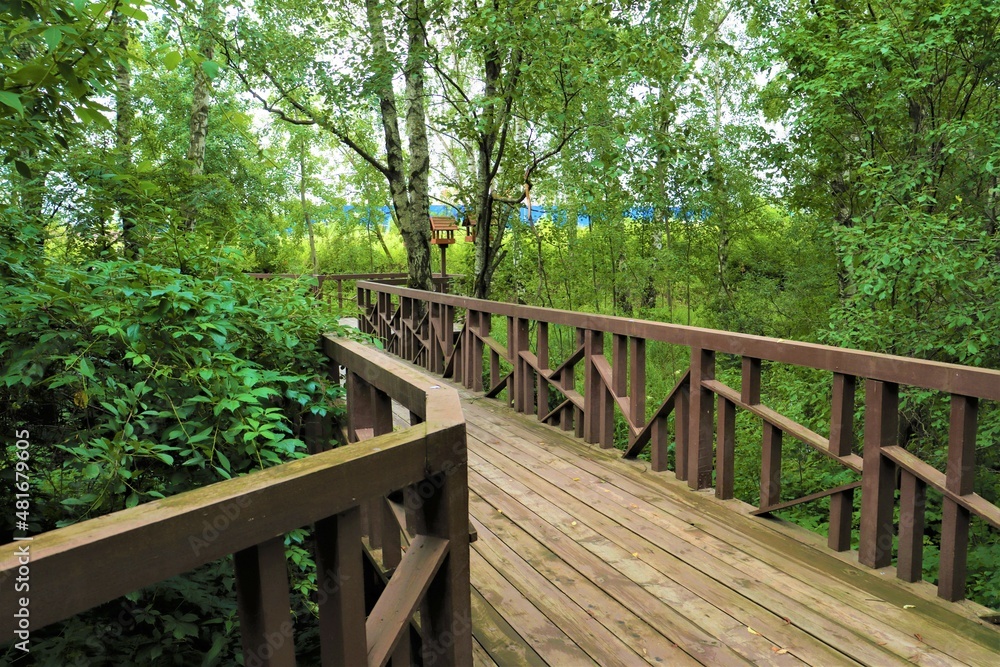 The wooden path (walking route) in the Dolgie Prudy park in the north of Moscow. The wooden path (walking route) in the Dolgie Prudy park in the north of Moscow.
