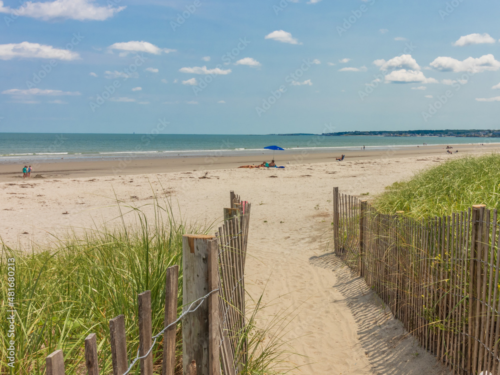 Fototapeta premium Beach path overlooking beach on a beautiful sunny day