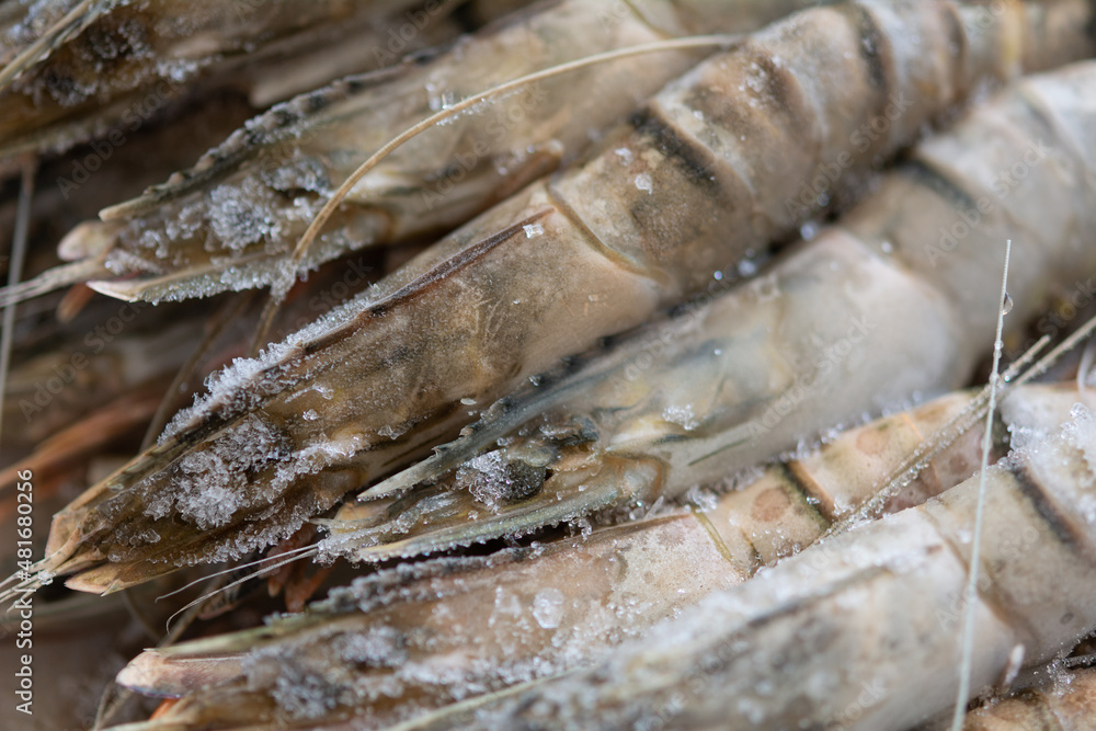 Tiger chrimp. Unpeeled frozen tiger prawns, close-up, selective focus, shallow depth of field.