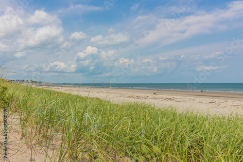 Beach grass  sand  ocean and sky