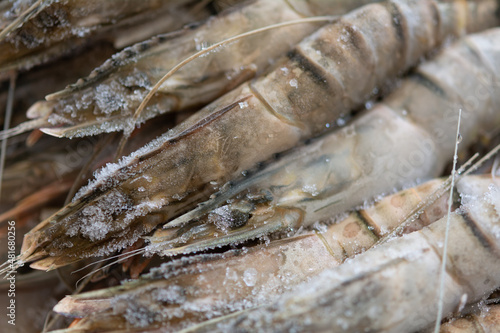 Tiger chrimp. Unpeeled frozen tiger prawns, close-up, selective focus, shallow depth of field. photo