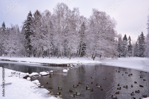 Beautiful winter landscape.