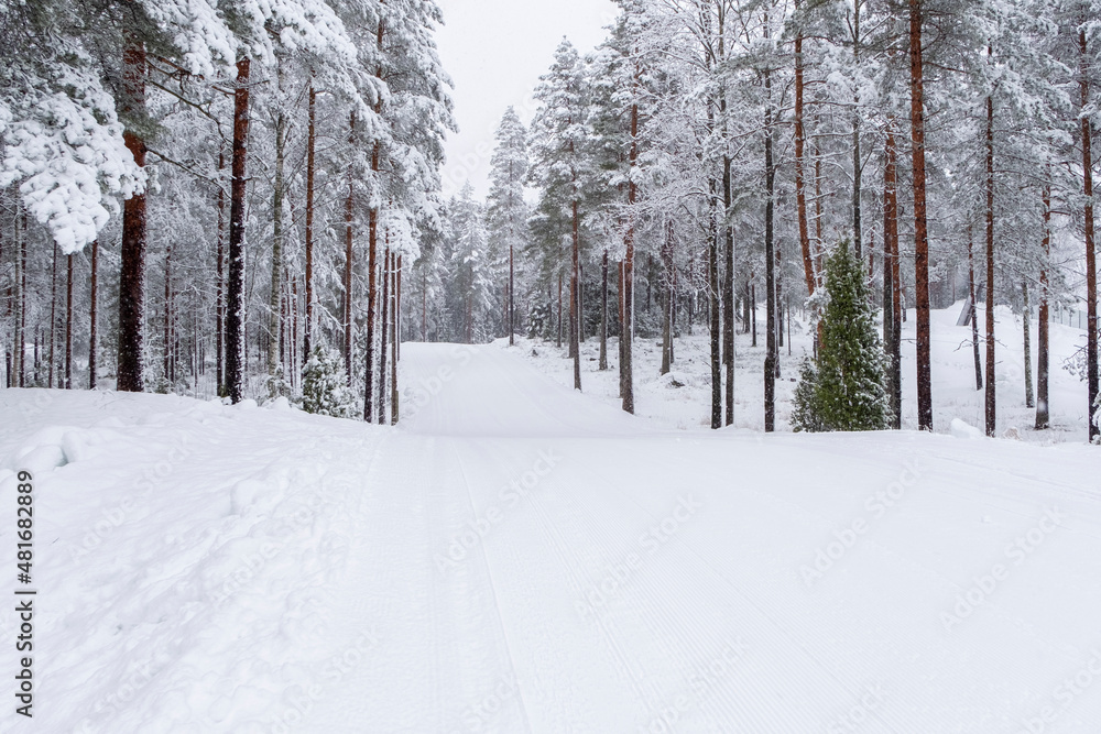 Fototapeta premium Winter landscape. Ski track in europe, winter sport. Ski slope in Lahti Finland