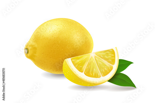 Realistic juicy lemon fruit with leaves vector isolated