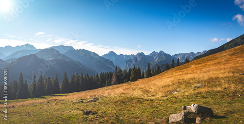 Panorama z Rusinowej Polany.