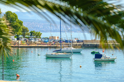 Palm leaf and moored yacht, boats and ships in the marina on the background. Summer vacation destination concept.