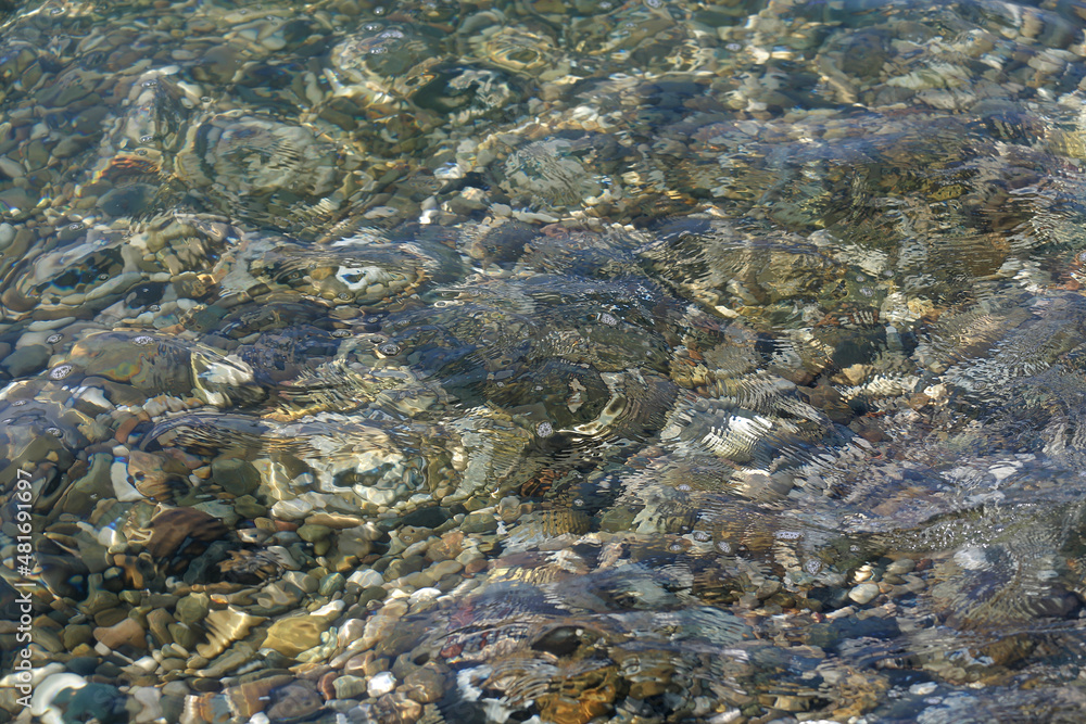 small sea pebbles in the water. Smooth stones