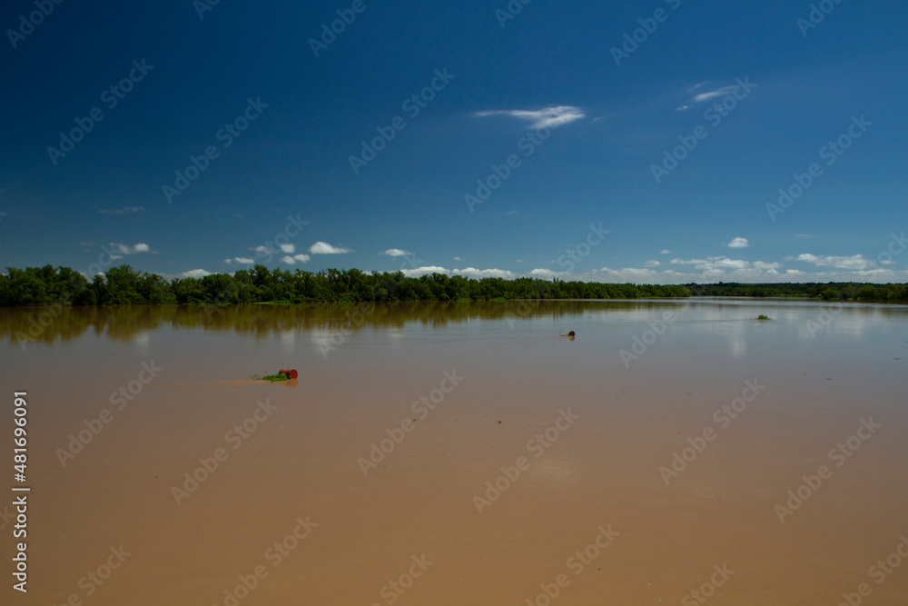 View of the brown water Parana river under a clear blue sky. View of the wide river and jungle reflection in the water.