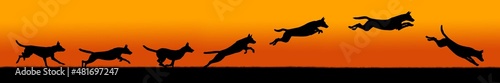 Malinois dog silhouettes in motion, dogs silhouettes against sunset background, jumping dynamics