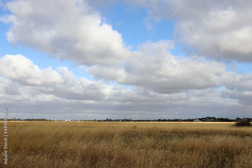 clouds over the field