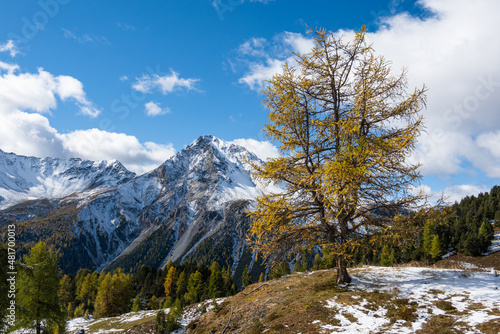 Wallpaper Mural Herbst im Bergell Torontodigital.ca