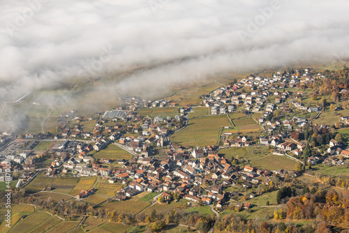 Wallpaper Mural Nebel in der Herrschaft Torontodigital.ca