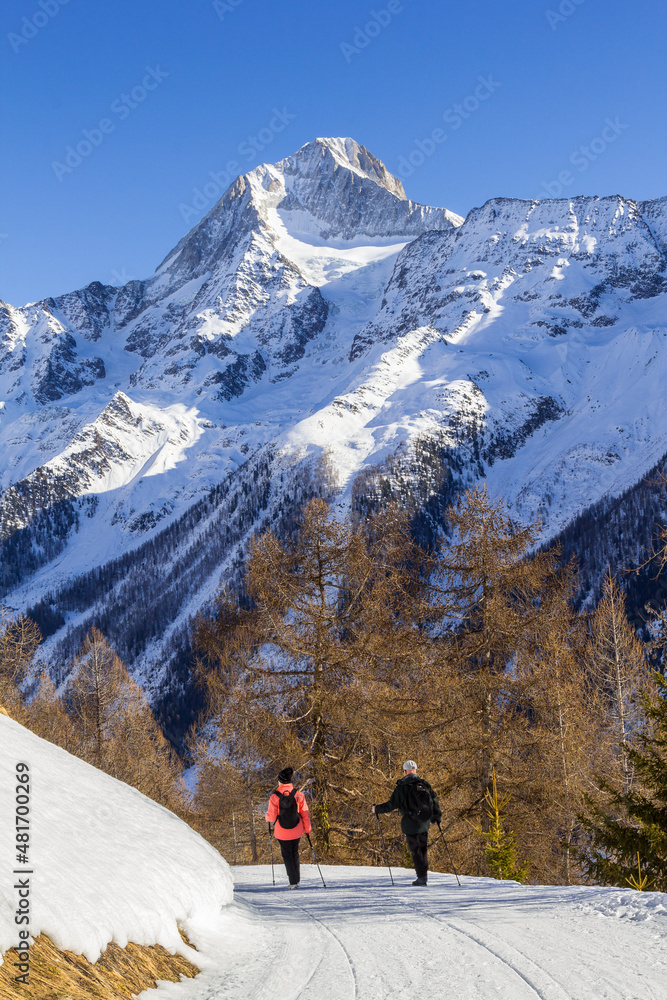 Hiking along the elevated path in the Lötschental valley with the majestic Alps summit Bietschhorn at the background