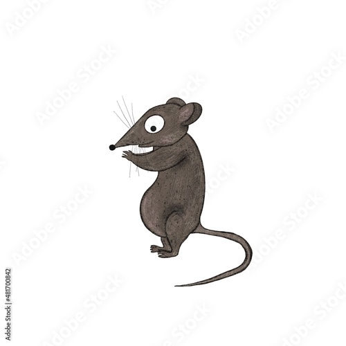 Cuadro en lienzo Mouse illustration on white background