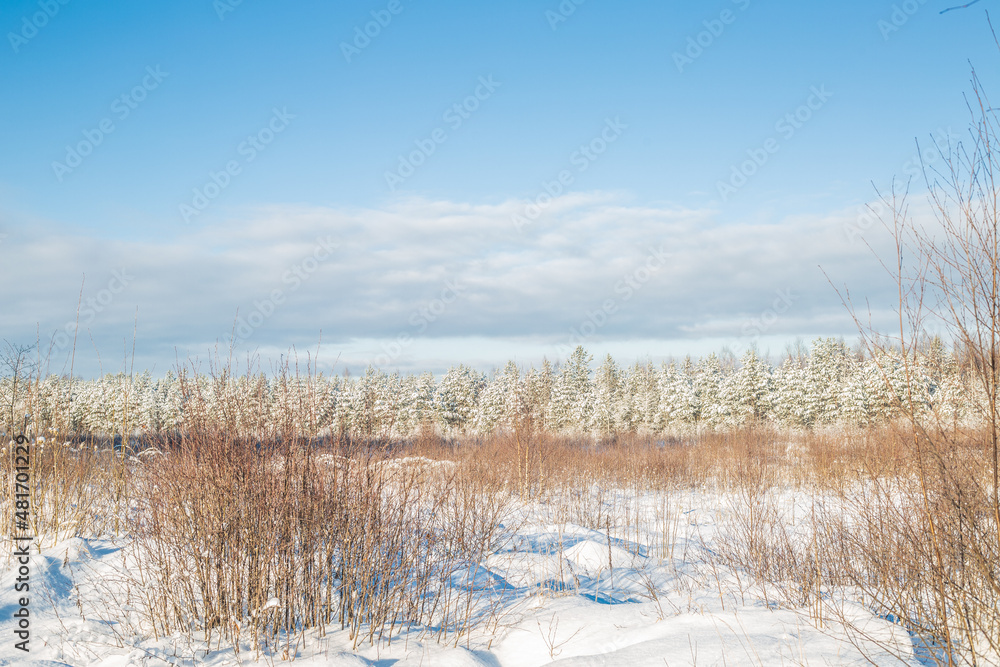 landscape with snow