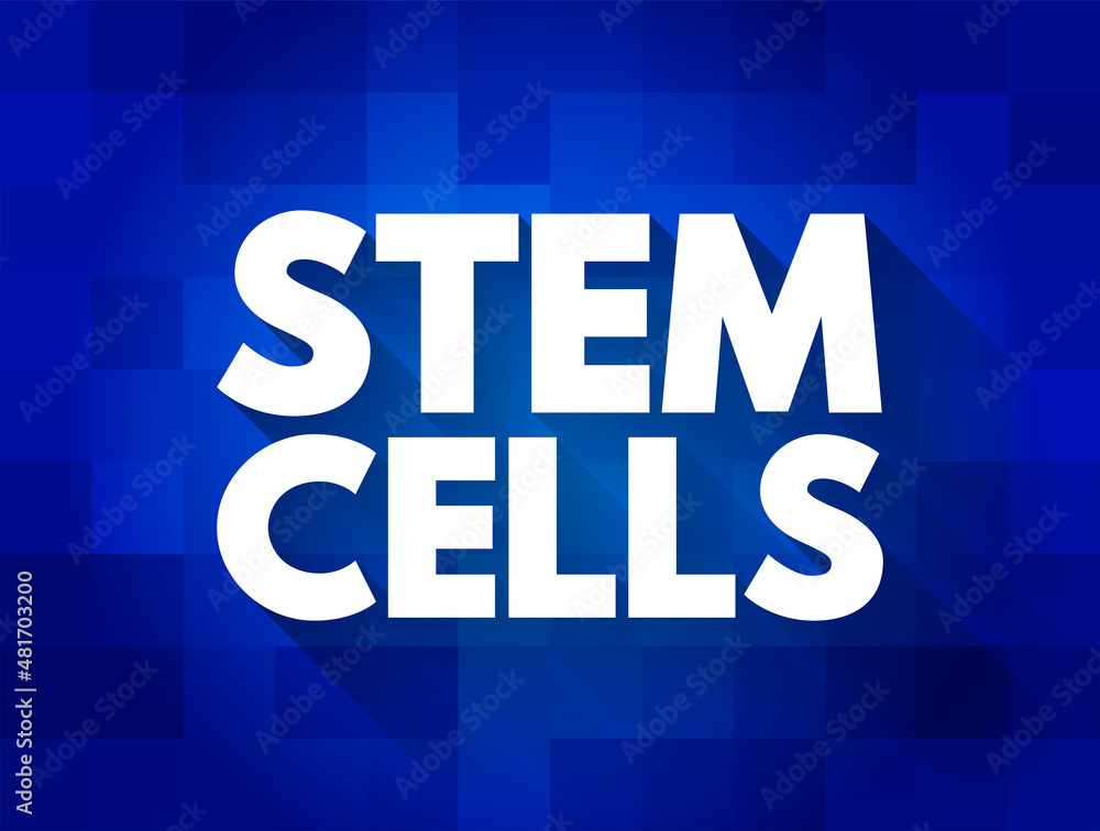 Stem cells - special human cells that are able to develop into many different cell types, medical text concept for presentations and reports Stem cells - special human cells that are able to develop into many different cell types, medical text concept for presentations and reports