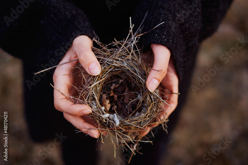 small bird's nest in the hands