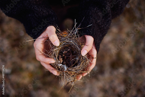 small bird's nest in the hands