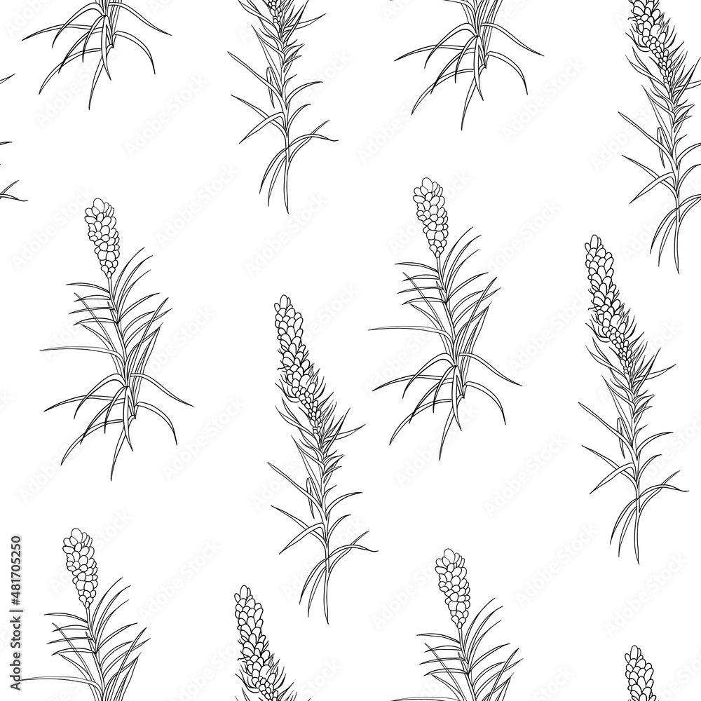 Fototapeta premium Monochrome botanical motif for textiles and design. Graphically drawn herbs and leaves on a white background in a seamless pattern