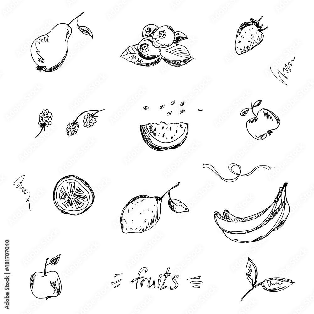 Black fruits and berries sketch painting, hand drawn set isolated on white background