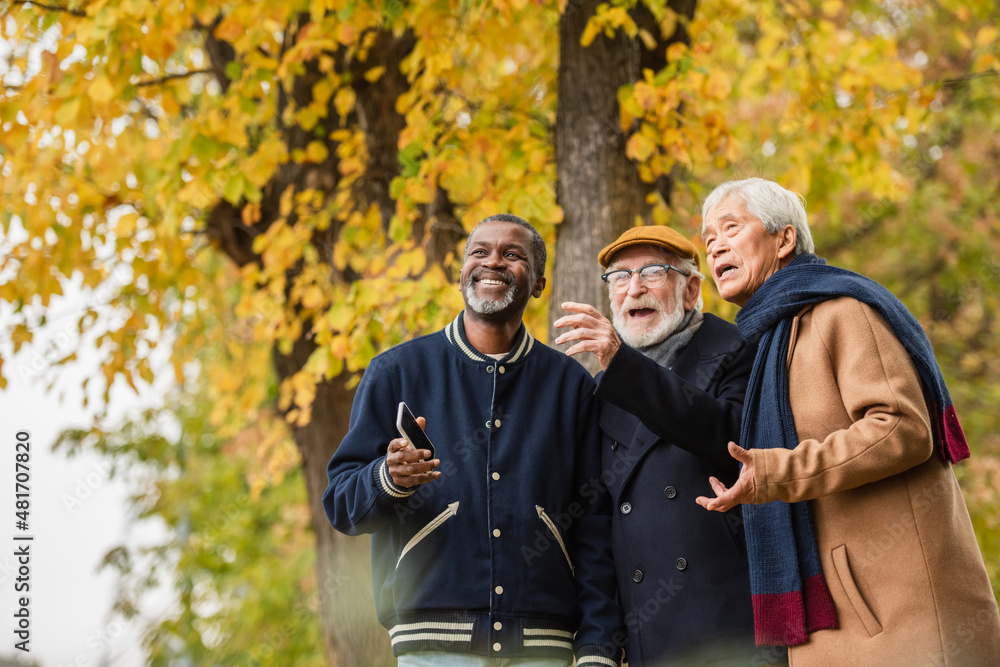 Smiling multiethnic senior men with smartphone looking away in autumn park.