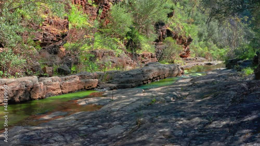 Wilderness area of South Australia national park nature reserve. Adelaide