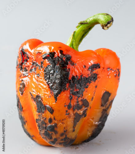 Fire Roasted Red Pepper upright