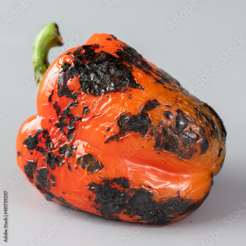 Fire Roasted Red Pepper on its side