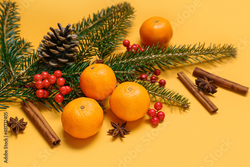 Composition with tangerines, fir branch, berries and spices on color background, closeup