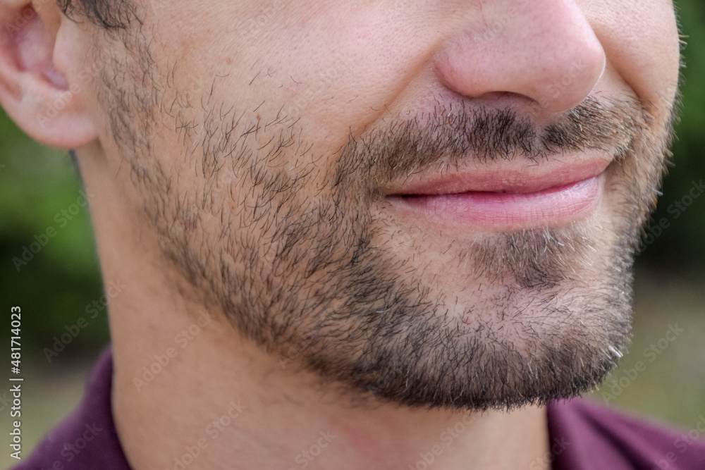 Fototapeta premium Beard on the face of a young man.