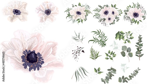 Vector Floral Set. White anemones  eucalyptus sprigs  seaweed  green leaves and plants. Flowers and plants on white background.