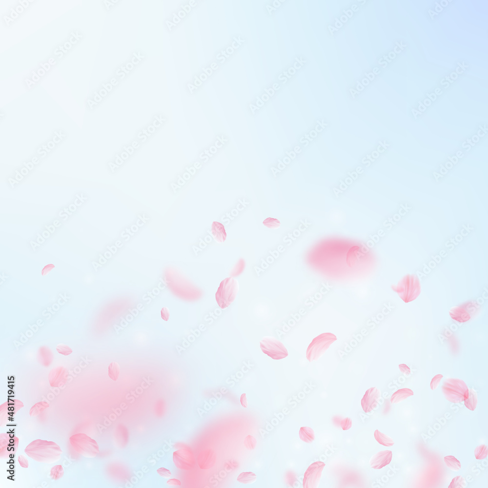 Sakura petals falling down. Romantic pink flowers gradient. Flying petals on blue sky square background. Love, romance concept. Stunning wedding invitation.