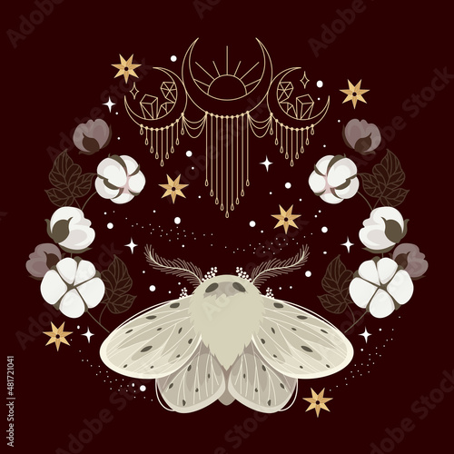 illustration of celestial moth at night with flower