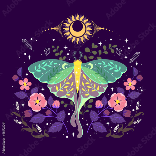 illustration of celestial moth at night with flower